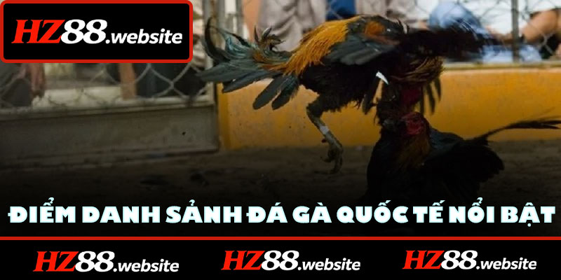 Điểm danh sảnh đá gà quốc tế nổi bật