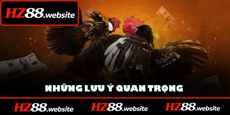 Những lưu ý quan trọng cho hội viên HZ88 khi chọn chiến kê